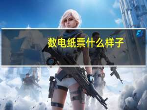 数电纸票什么样子