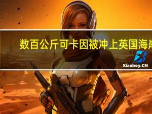数百公斤可卡因被冲上英国海岸