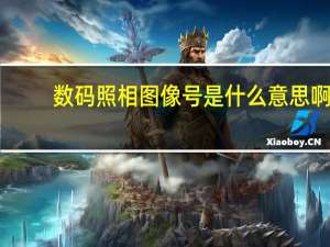 数码照相图像号是什么意思啊（数码照相图像号是什么）