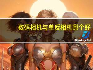 数码相机与单反相机哪个好