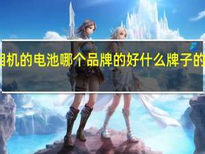 数码相机的电池哪个品牌的好 什么牌子的数码相机好