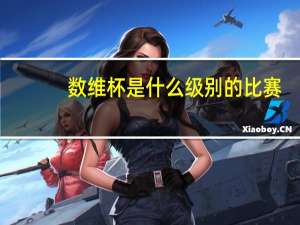 数维杯是什么级别的比赛