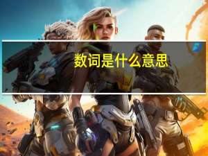 数词是什么意思