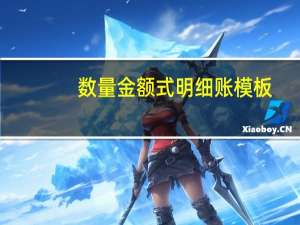 数量金额式明细账模板（数量金额式）