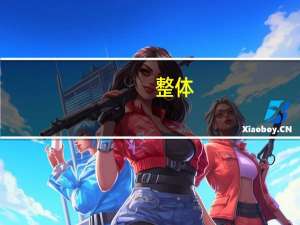 整体（关于整体的介绍）