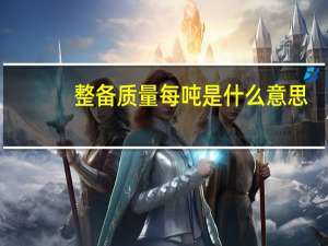 整备质量每吨是什么意思（整备质量）