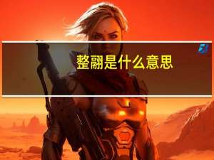 整翮是什么意思