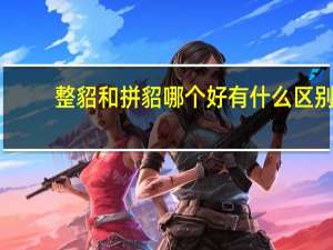 整貂和拼貂哪个好有什么区别