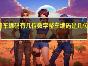 整车编码有几位数字 整车编码是几位数组成