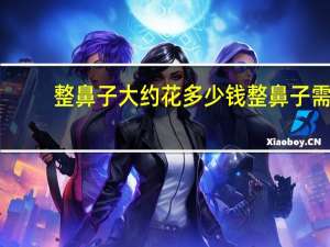 整鼻子大约花多少钱 整鼻子需要多少钱