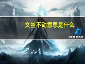 文丝不动意思是什么