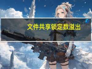文件共享锁定数溢出（文件共享）