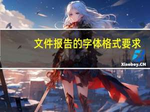 文件报告的字体格式要求