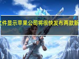 文件显示苹果公司将很快发布两款新的iPad