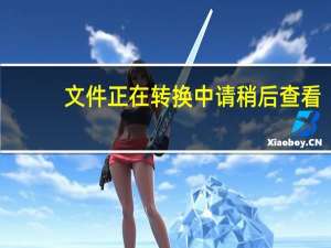 文件正在转换中请稍后查看（文件正在转码请稍后再试）