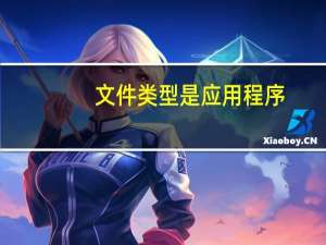 文件类型是应用程序
