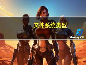 文件系统类型