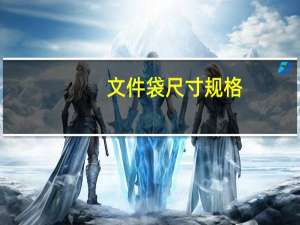 文件袋尺寸规格