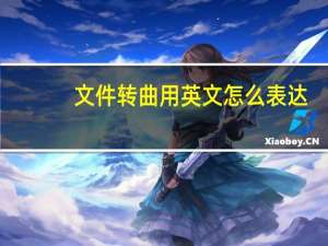 文件转曲用英文怎么表达