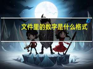 文件里的数字是什么格式