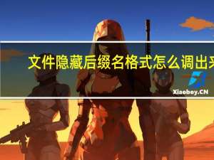 文件隐藏后缀名格式怎么调出来（文件隐藏）