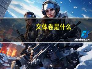 文体卷是什么