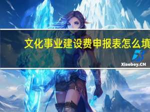 文化事业建设费申报表怎么填