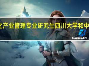 文化产业管理专业研究生四川大学和中传哪个好