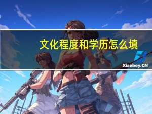 文化程度和学历怎么填
