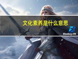 文化素养是什么意思