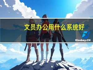 文员办公用什么系统好