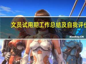 文员试用期工作总结及自我评价