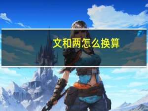文和两怎么换算