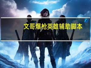 文哥爆枪英雄辅助脚本（文哥爆枪英雄辅助）