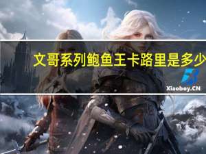 文哥系列 鲍鱼王卡路里是多少