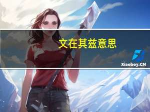 文在其兹意思