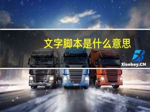文字脚本是什么意思（脚本是什么意思）