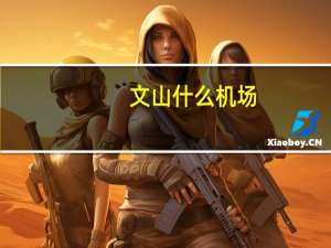 文山什么机场（文山有机场吗）