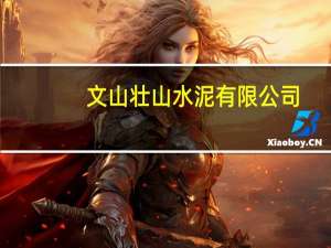 文山壮山水泥有限公司（长篇诗歌专集《敢壮山布骆陀》简介）