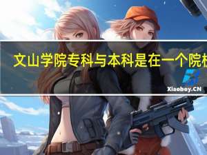 文山学院专科与本科是在一个院校吗