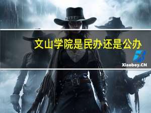 文山学院是民办还是公办
