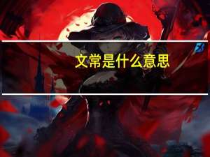 文常是什么意思