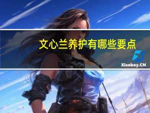 文心兰养护有哪些要点