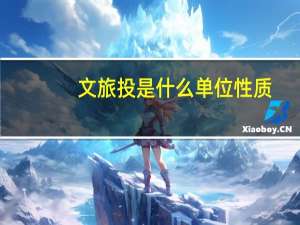 文旅投是什么单位性质