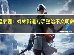 文明养犬共建幸福家园！梅林街道专项整治不文明养犬乱象 到底什么情况嘞