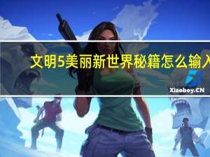 文明5美丽新世界秘籍怎么输入（文明5美丽新世界秘籍）