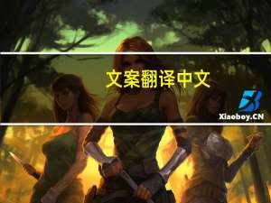 文案翻译中文（文案翻译）