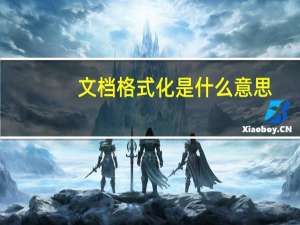 文档格式化是什么意思