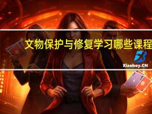 文物保护与修复学习哪些课程