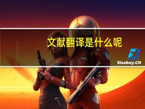 文献翻译是什么呢